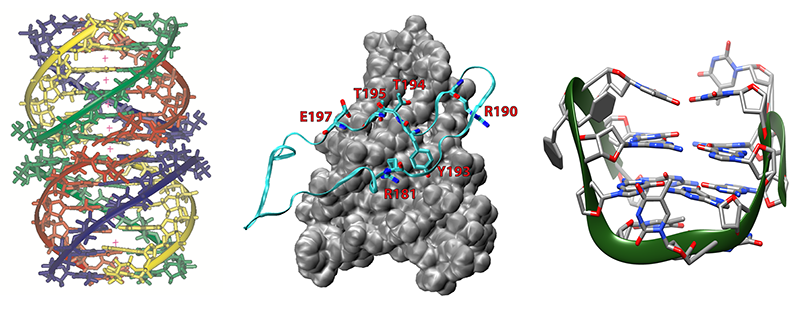 Laboratorio di progettazione e sintesi di biomolecole