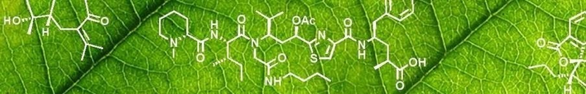 Phytochemistry Group