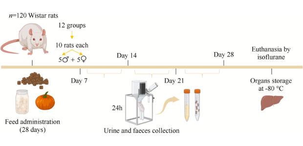 Immagine relativa al contenuto Alimenti ricchi di antiossidanti e mitigazione della bioaccumulazione epatica